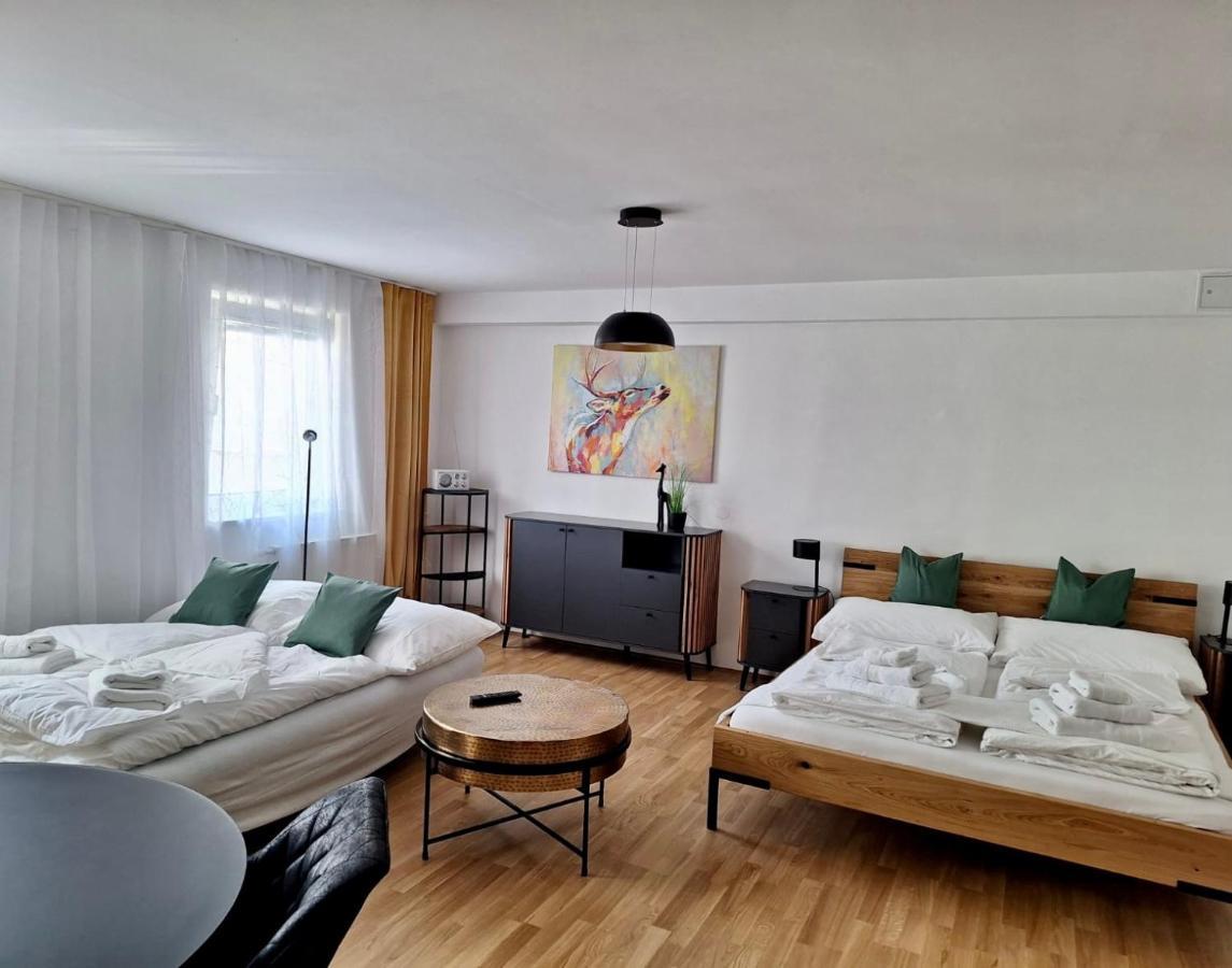 Air-Conditioned, Quiet Apartment With A Terrace In Center Of St Poelten - Smart Tv Sankt Polten Bagian luar foto